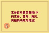 玄参首乌黄芪黄精(中药玄参、首乌、黄芪、黄精的功效与用途)