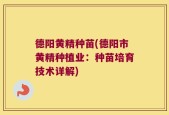 德阳黄精种苗(德阳市黄精种植业：种苗培育技术详解)