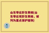 山东枣庄野生黄精(山东枣庄现野生黄精，被列为重点保护植物)