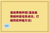 潼南黄精种苗(潼南县黄精种苗培育成功，打破传统种植方法)