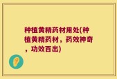 种植黄精药材用处(种植黄精药材，药效神奇，功效百出)