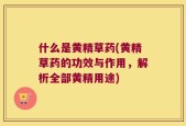 什么是黄精草药(黄精草药的功效与作用，解析全部黄精用途)
