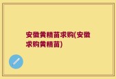 安徽黄精苗求购(安徽求购黄精苗)