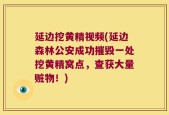 延边挖黄精视频(延边森林公安成功摧毁一处挖黄精窝点，查获大量赃物！)