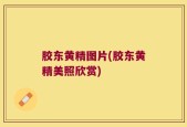 胶东黄精图片(胶东黄精美照欣赏)