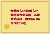 大量收东北黄精(东北黄精被大量采摘，品质遭受威胁，相关部门展开保护行动)