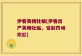 伊春黄精牡蛎(伊春出产黄精牡蛎，受到市场欢迎)