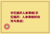 华佗国药人参黄精(华佗国药：人参黄精的功效与用途)