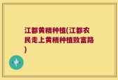 江都黄精种植(江都农民走上黄精种植致富路)