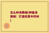 怎么种滇黄精(种植滇黄精：打造优质中药材)