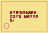 野滇黄精(野生滇黄精资源丰富，秘藏河滨深处)