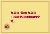 九华山 黄精(九华山：珍稀中药材黄精的宝地)