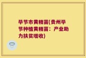 毕节市黄精苗(贵州毕节种植黄精苗：产业助力扶贫增收)