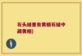 石头缝里有黄精石缝中藏黄精)
