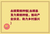 永顺黄精种植(永顺县发力黄精种植，推动产业扶贫、助力乡村振兴)