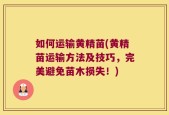 如何运输黄精苗(黄精苗运输方法及技巧，完美避免苗木损失！)