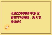 江西宜春黄精种植(宜春市丰收黄精，助力农业增收)