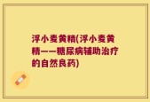 浮小麦黄精(浮小麦黄精——糖尿病辅助治疗的自然良药)