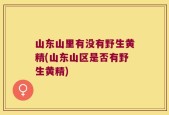 山东山里有没有野生黄精(山东山区是否有野生黄精)
