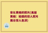 安化黄精的照片(美丽黄精：拍摄的惊人照片展示惊人色泽)