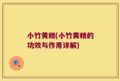 小竹黄精(小竹黄精的功效与作用详解)
