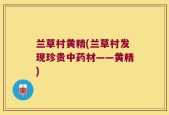 兰草村黄精(兰草村发现珍贵中药材——黄精)