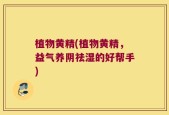 植物黄精(植物黄精，益气养阴祛湿的好帮手)