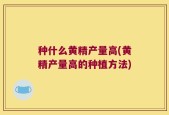 种什么黄精产量高(黄精产量高的种植方法)