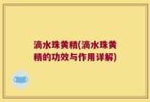 滴水珠黄精(滴水珠黄精的功效与作用详解)
