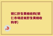 铜仁野生黄精收购(铜仁市场迎来野生黄精收购季)