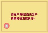 南充产黄精(南充出产黄精种植发展良好)