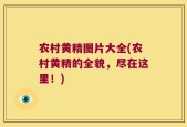 农村黄精图片大全(农村黄精的全貌，尽在这里！)
