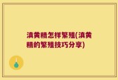 滇黄精怎样繁殖(滇黄精的繁殖技巧分享)