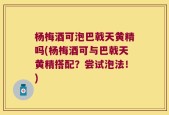 杨梅酒可泡巴戟天黄精吗(杨梅酒可与巴戟天黄精搭配？尝试泡法！)