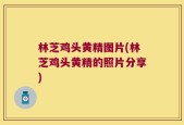 林芝鸡头黄精图片(林芝鸡头黄精的照片分享)