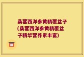 桑葚西洋参黄精覆盆子(桑葚西洋参黄精覆盆子精华营养素丰富)
