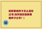新鲜黄精种子怎么保存过冬(如何保存新鲜黄精种子过冬？)