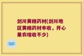 剑川黄精药材(剑川地区黄精药材丰收，开心果农增收不少)