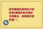 野生黄精丹参枸杞子的药用(黄精丹参与枸杞子的联合，有哪些药用价值？)