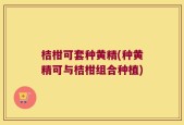 桔柑可套种黄精(种黄精可与桔柑组合种植)