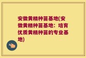安徽黄精种苗基地(安徽黄精种苗基地：培育优质黄精种苗的专业基地)