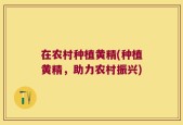 在农村种植黄精(种植黄精，助力农村振兴)
