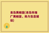 青岛黄精苗(青岛市推广黄精苗，助力生态建设)