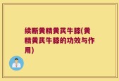 续断黄精黄芪牛膝(黄精黄芪牛膝的功效与作用)