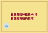 盆栽黄精种植技术(培育盆栽黄精的技巧)