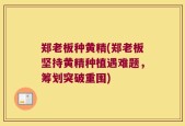 郑老板种黄精(郑老板坚持黄精种植遇难题，筹划突破重围)