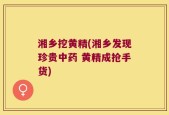 湘乡挖黄精(湘乡发现珍贵中药 黄精成抢手货)