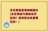 多花黄精是黄精嘛图片(多花黄精与黄精有何区别？搞清楚这些重要信息！)