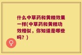 什么中草药和黄精效果一样(中草药和黄精功效相似，你知道是哪些吗？)
