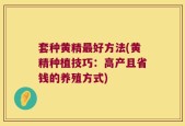 套种黄精最好方法(黄精种植技巧：高产且省钱的养殖方式)
